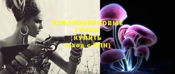 spice Белокуриха