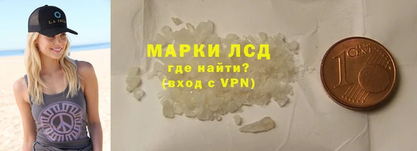 шишки Белоозёрский
