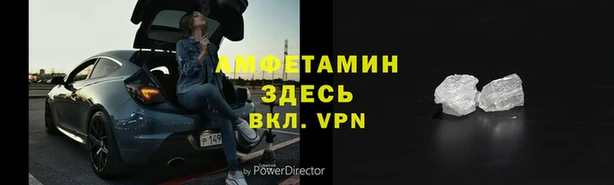 шишки Белоозёрский