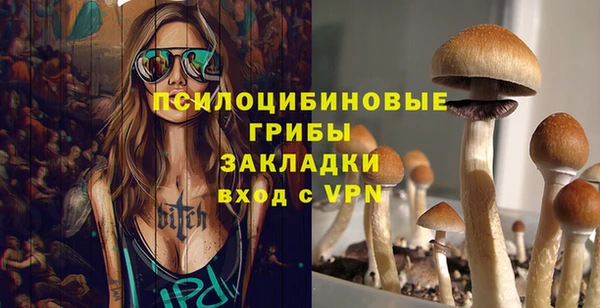 spice Белокуриха