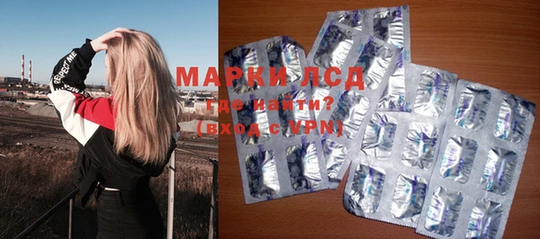 шишки Белоозёрский
