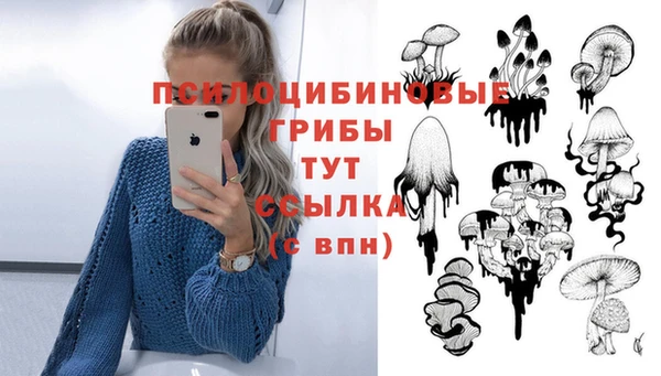 spice Белокуриха