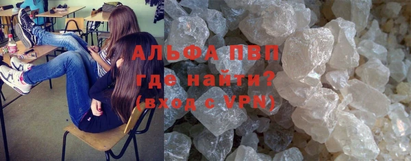 спиды Зеленокумск