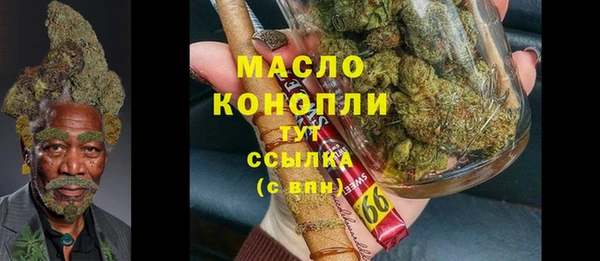 шишки Белоозёрский