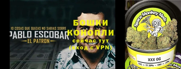 прущие грибы Зерноград