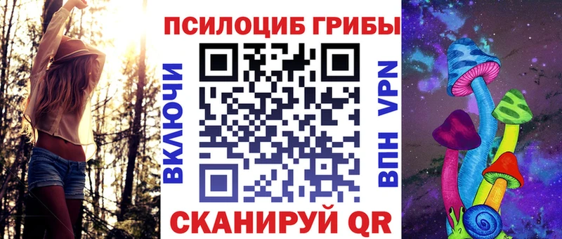 Псилоцибиновые грибы мицелий  даркнет формула  Буинск  что такое  